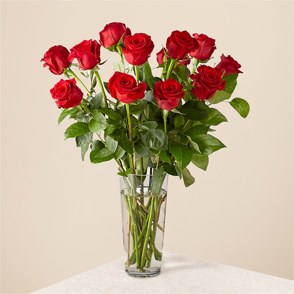 Long Stem Red Rose Bouquet – HIRT'S FLOWERS INC, Strongsville OH