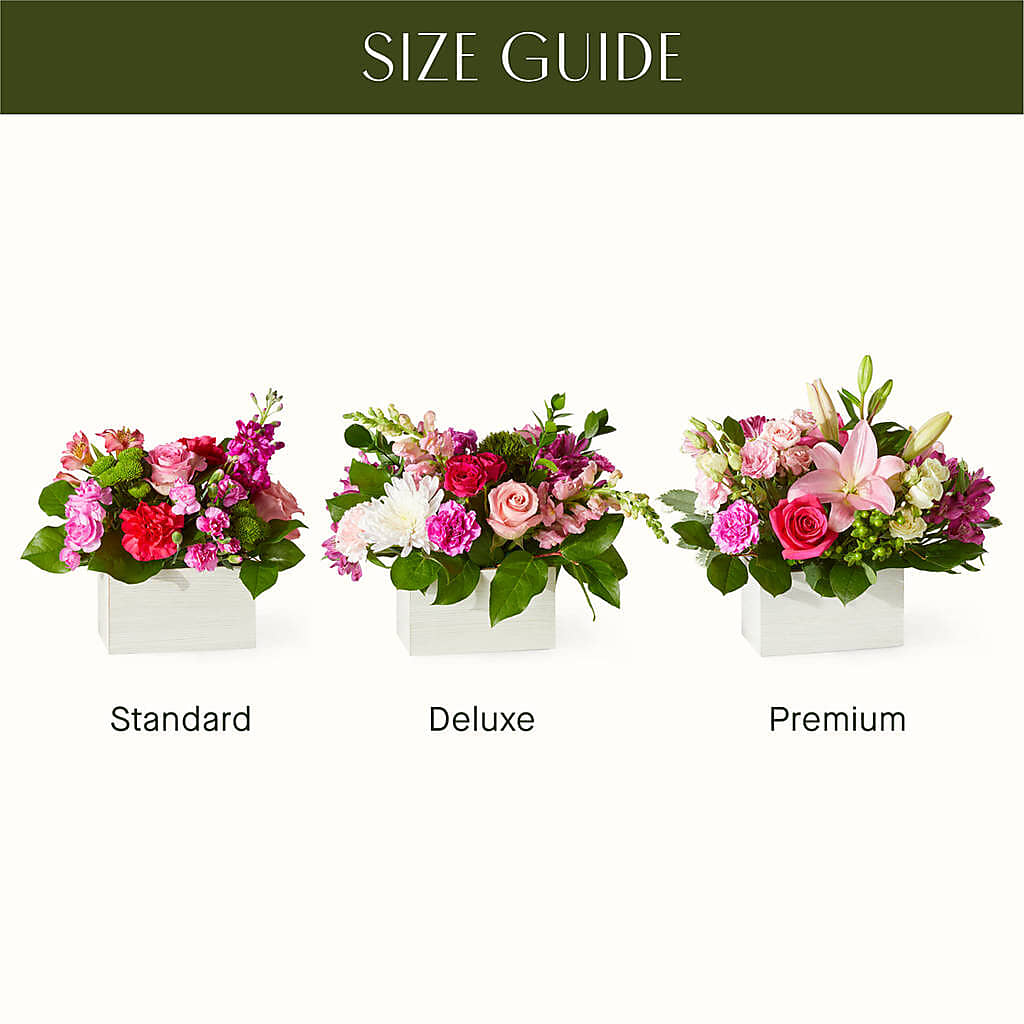 Sweetberry Box – A Florist Original – HIRT'S FLOWERS INC, Strongsville OH
