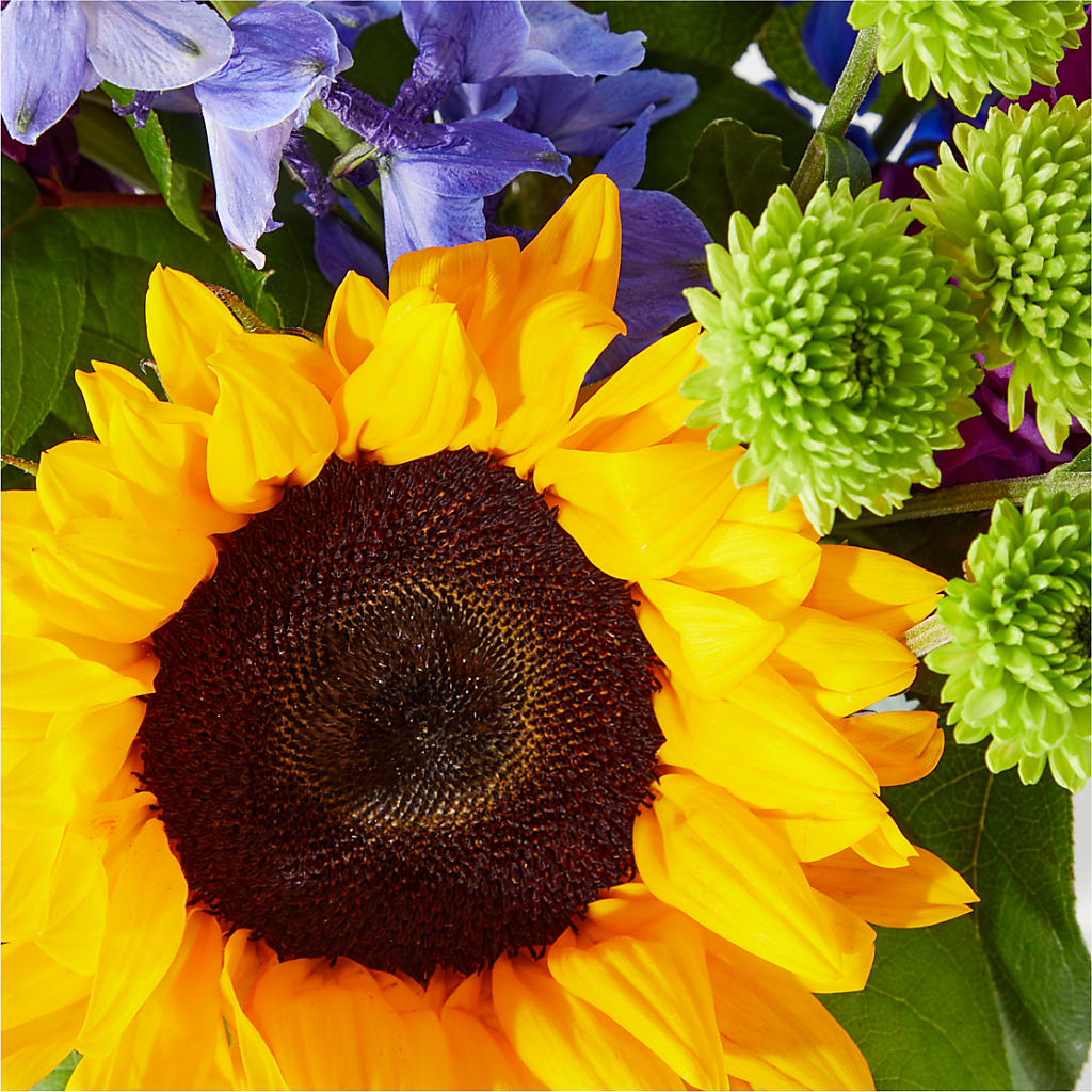 Catching Rays Bouquet – HIRT'S FLOWERS INC, Strongsville OH