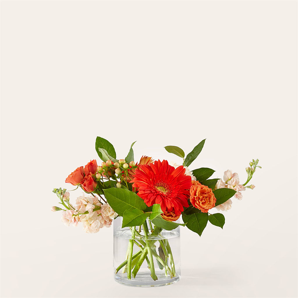 Paloma Please Bouquet – HIRT'S FLOWERS INC, Strongsville OH
