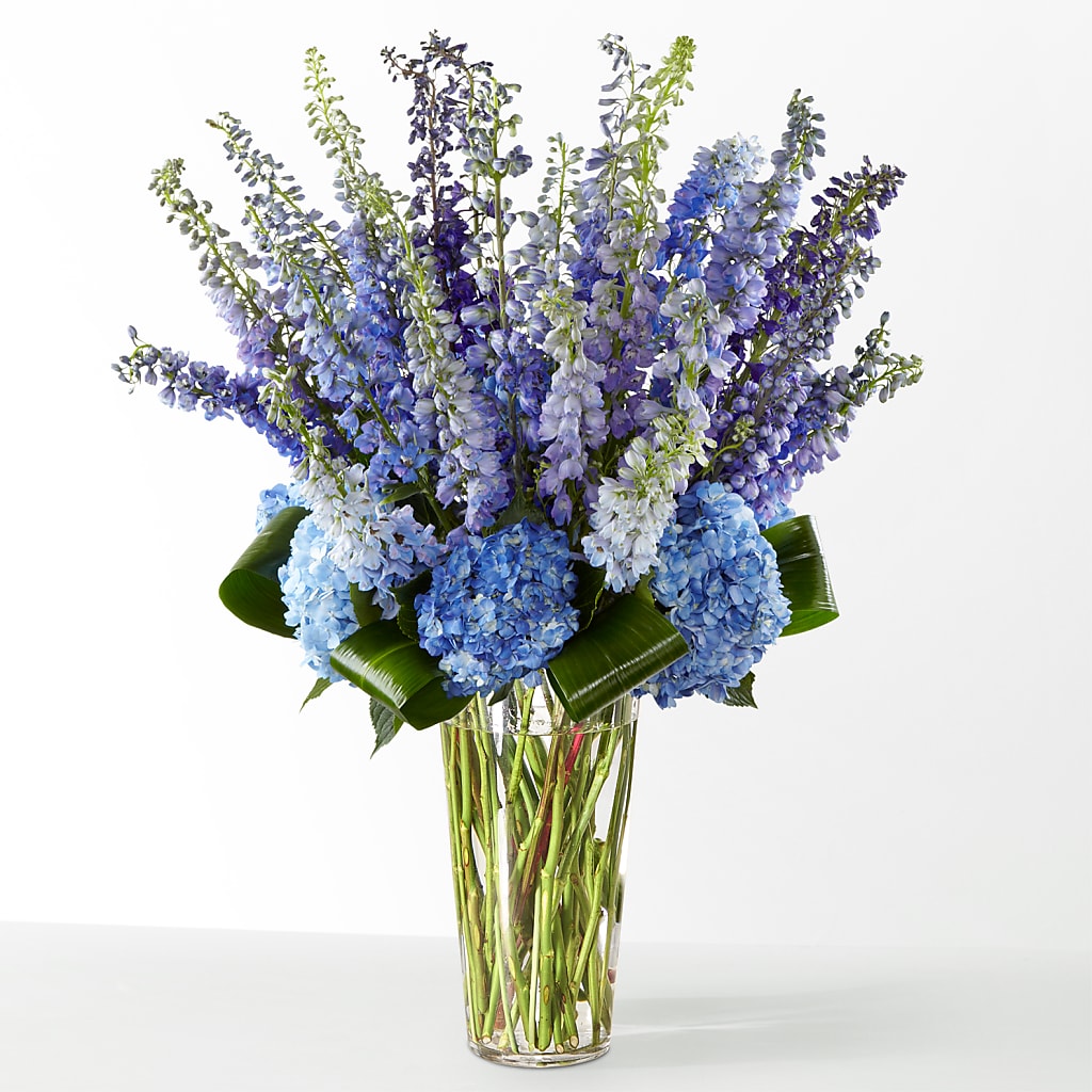 The Editorial – HIRT'S FLOWERS INC, Strongsville OH