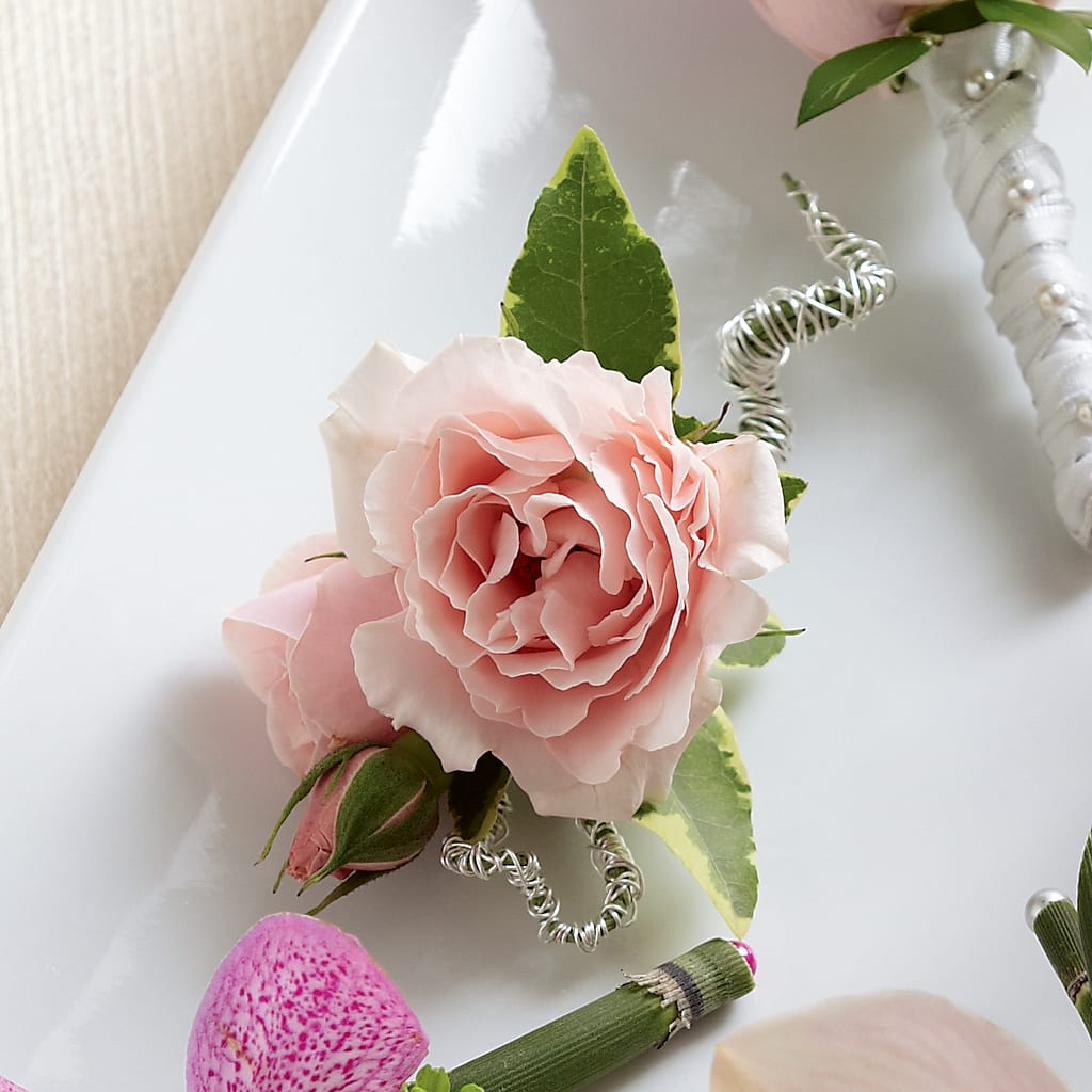 Pink Spray Rose Boutonniere – HIRT'S FLOWERS INC, Strongsville OH