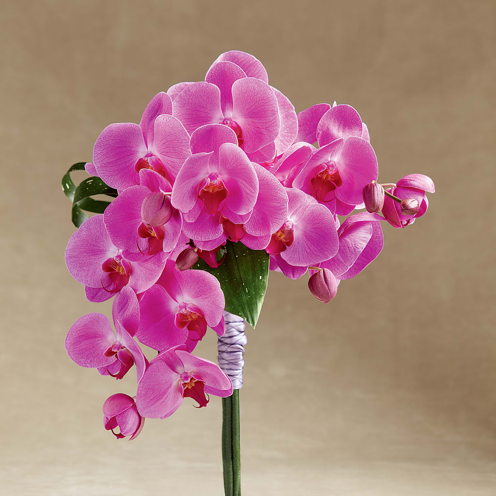 Glorious Bouquet – HIRT'S FLOWERS INC, Strongsville OH