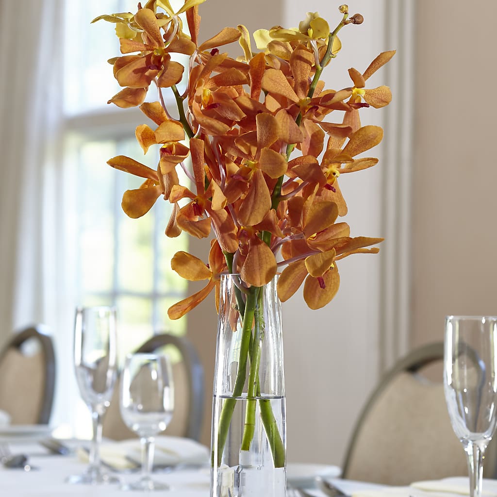 Orange Mokara Bud Vase – HIRT'S FLOWERS INC, Strongsville OH