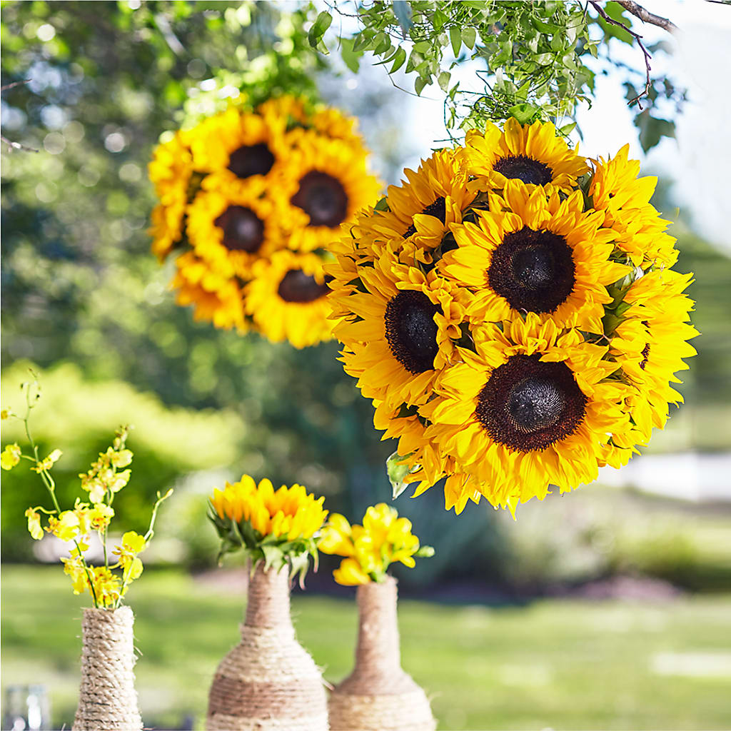 Sublime Garden Hanging Arrangement – HIRT'S FLOWERS INC, Strongsville OH