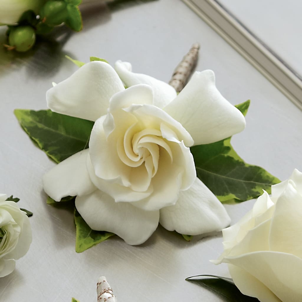 Gardenia Boutonniere – HIRT'S FLOWERS INC, Strongsville OH