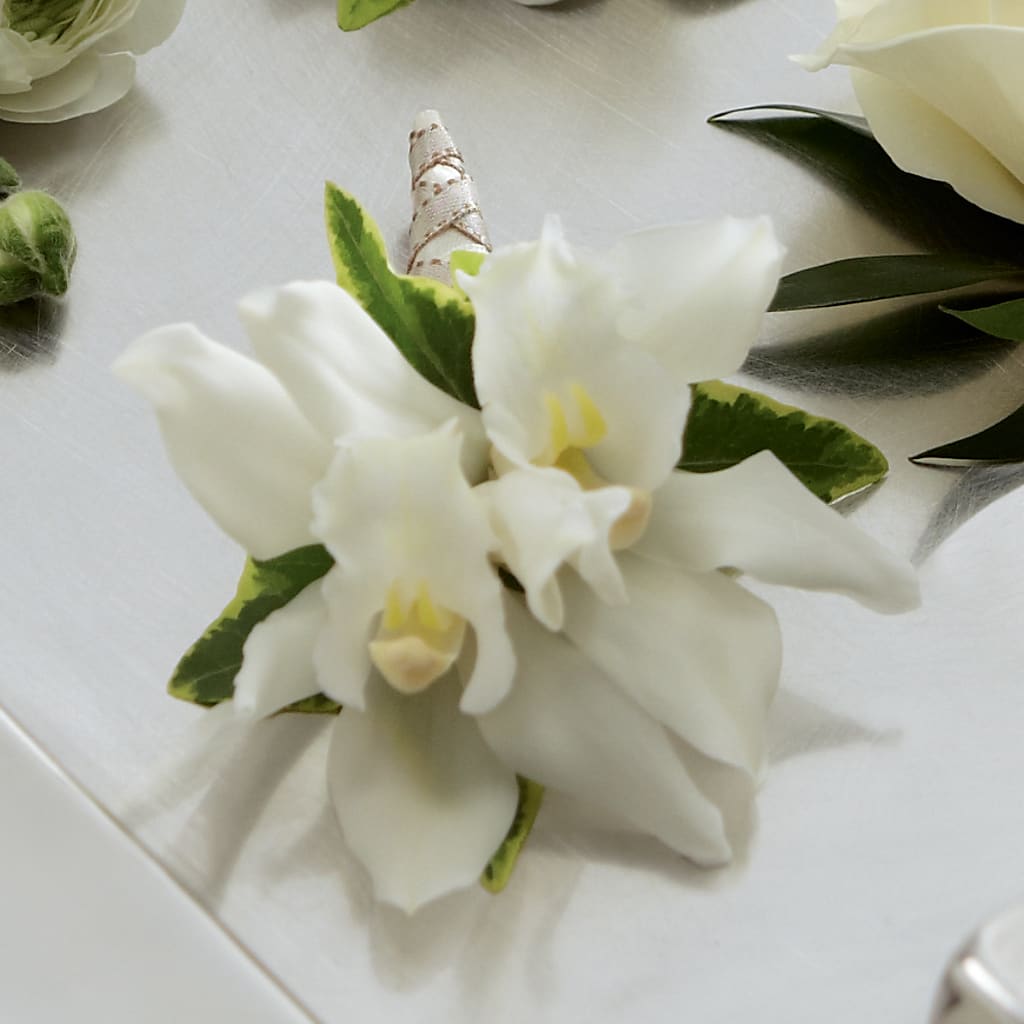 White Mini Cymbidium Boutonniere – HIRT'S FLOWERS INC, Strongsville OH