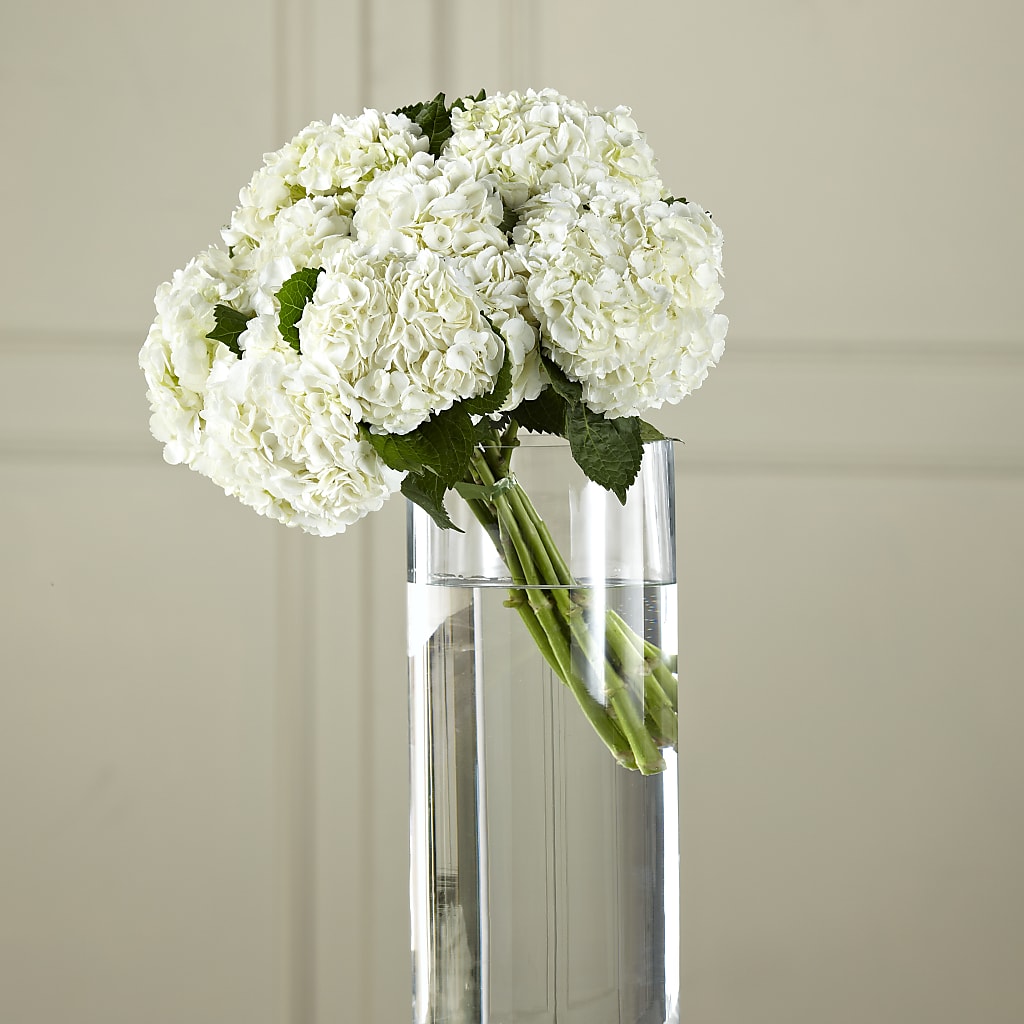 White Hydrangea Hand-Tied Bouquet – HIRT'S FLOWERS INC, Strongsville OH