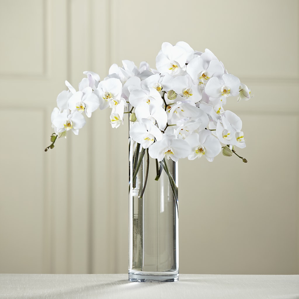 White Phalaenopsis Bouquet – HIRT'S FLOWERS INC, Strongsville OH