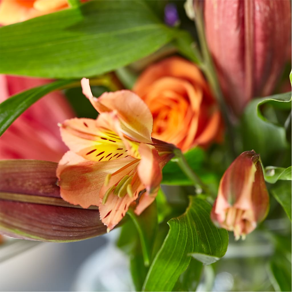 Bold & Bright – A Florist Original – flower arrangement