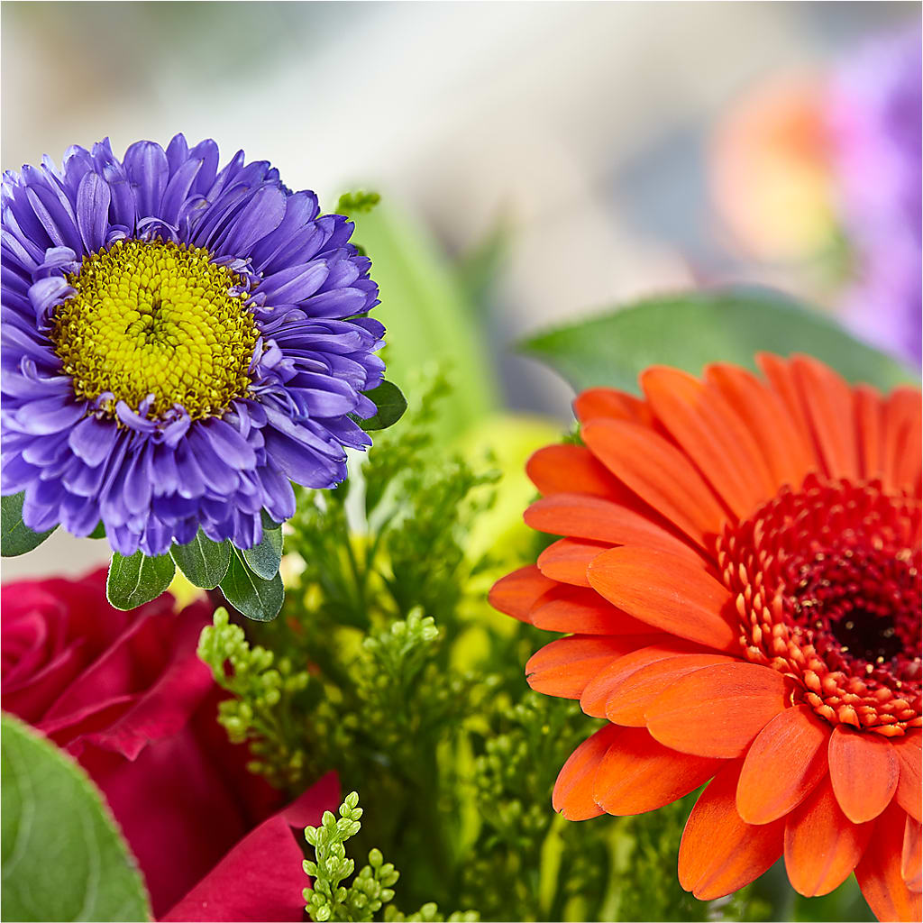 Bold & Bright – A Florist Original – HIRT'S FLOWERS INC, Strongsville OH