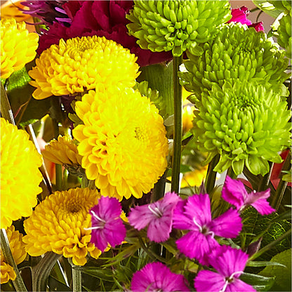 Bold & Bright – A Florist Original – HIRT'S FLOWERS INC, Strongsville OH