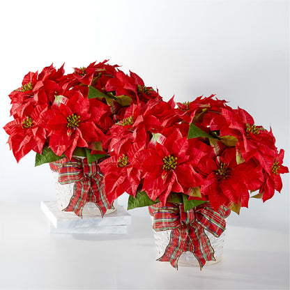 Happiest Holidays Poinsettia Bundle – HIRT'S FLOWERS INC, Strongsville OH