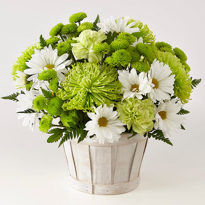 Lucky Charm Basket (Standard) – HIRT'S FLOWERS INC, Strongsville OH