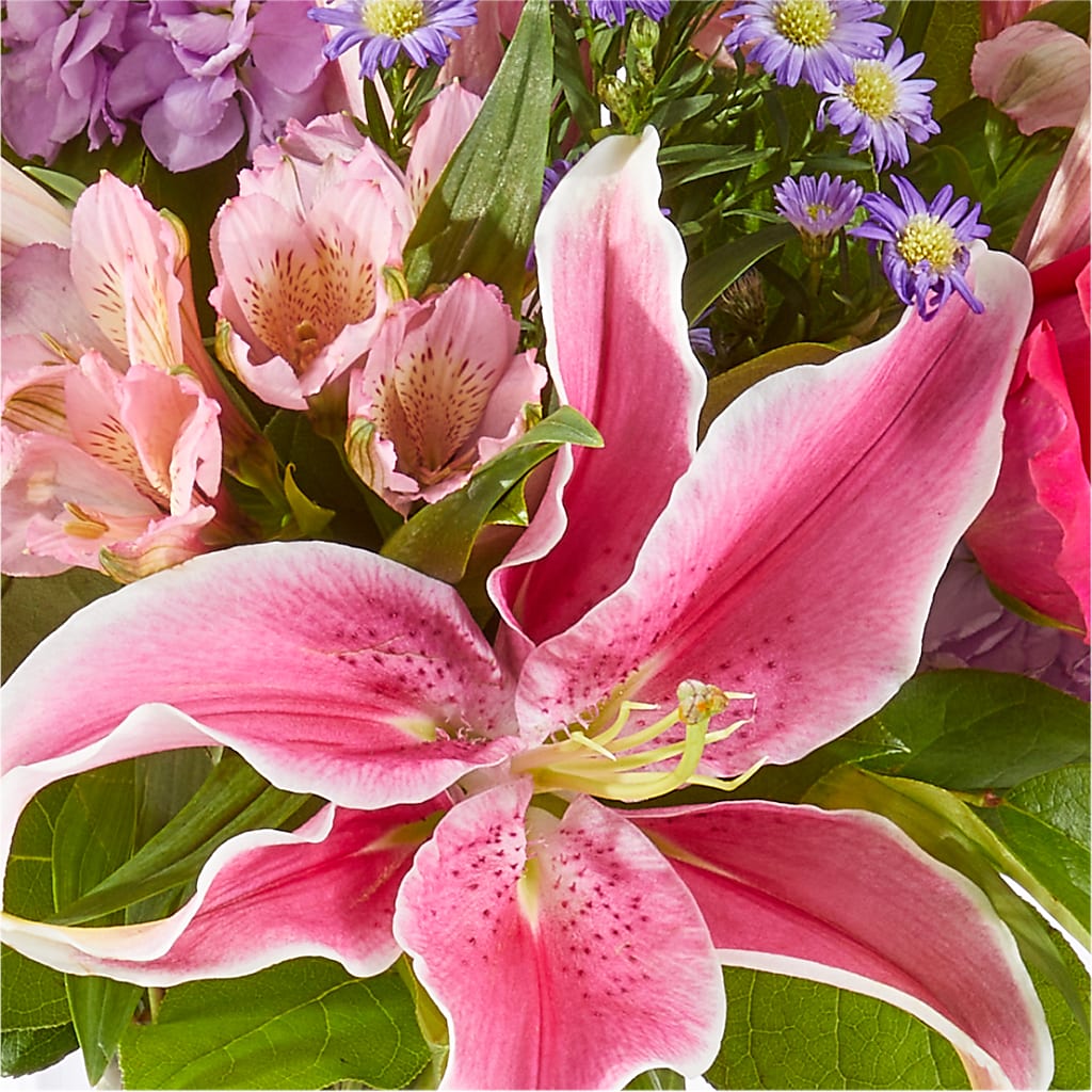 Written in the Stars Bouquet – HIRT'S FLOWERS INC, Strongsville OH