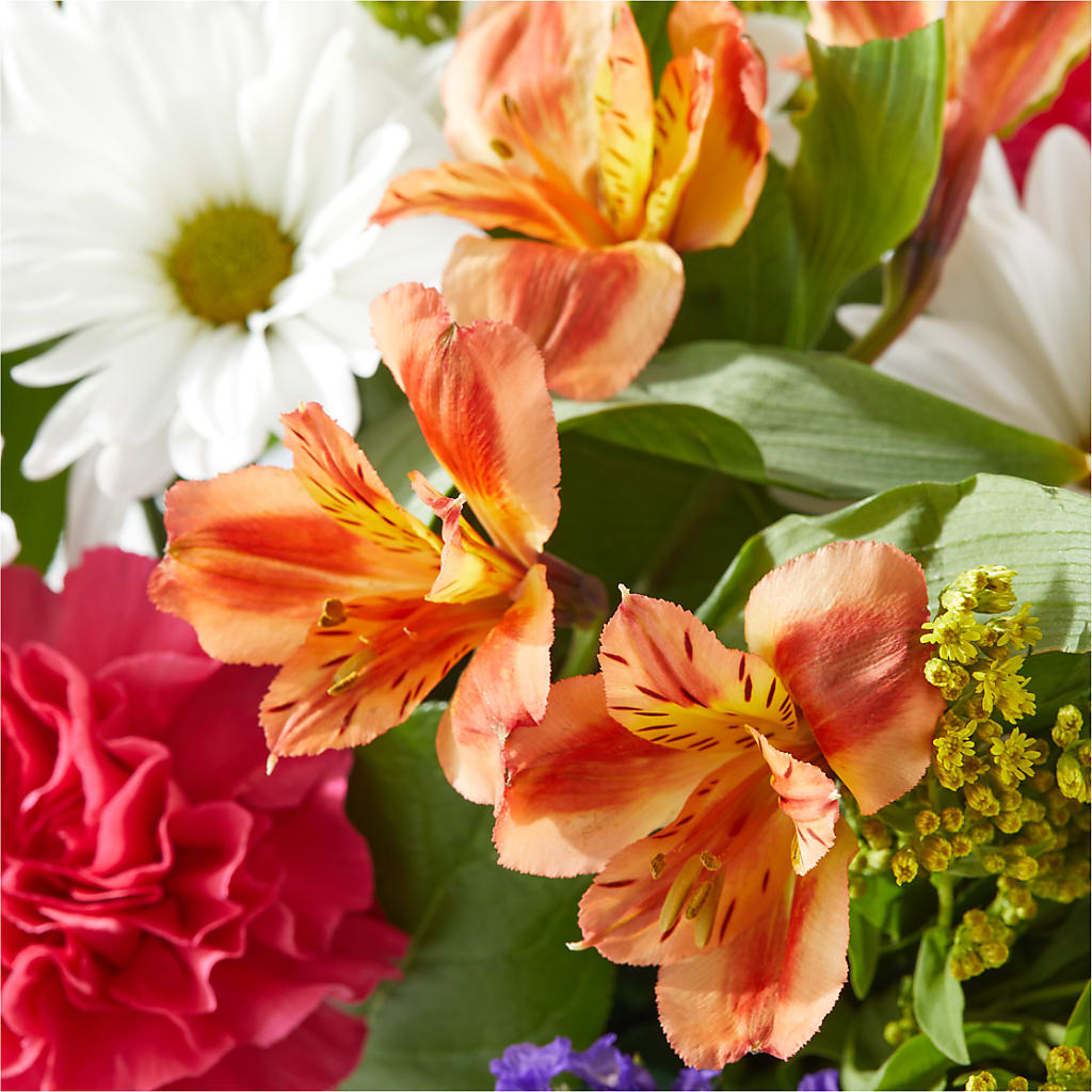Oopsie Daisy Box Bouquet – HIRT'S FLOWERS INC, Strongsville OH