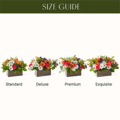 Oopsie Daisy Box Bouquet – HIRT'S FLOWERS INC, Strongsville OH