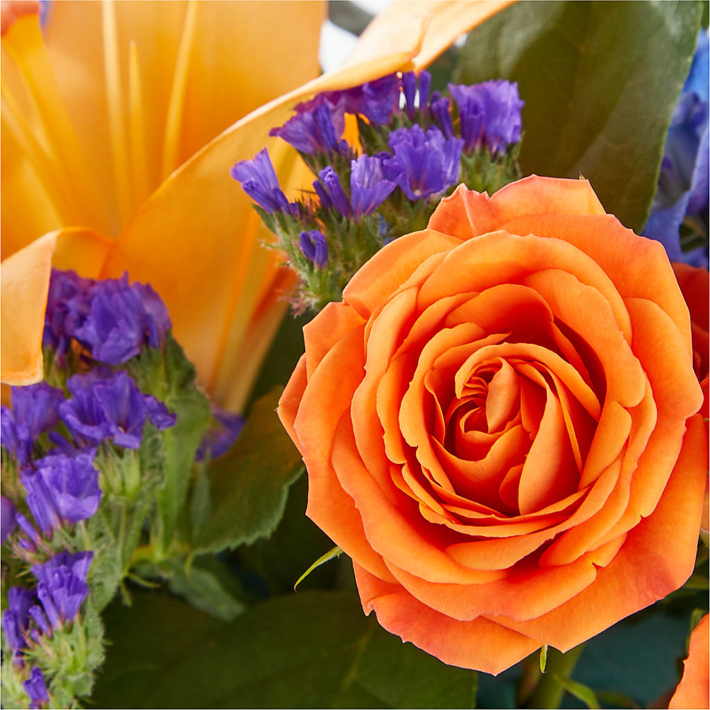 Radiant Citrus Box Bouquet – HIRT'S FLOWERS INC, Strongsville OH