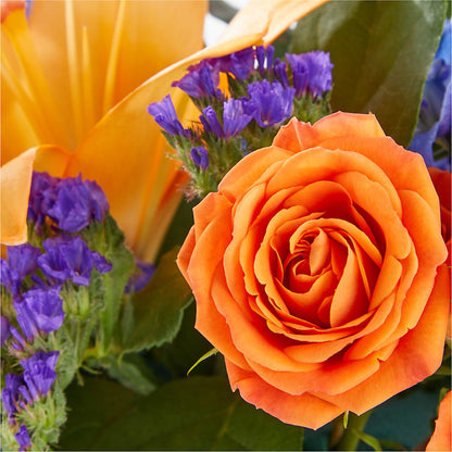Radiant Citrus Box Bouquet – HIRT'S FLOWERS INC, Strongsville OH