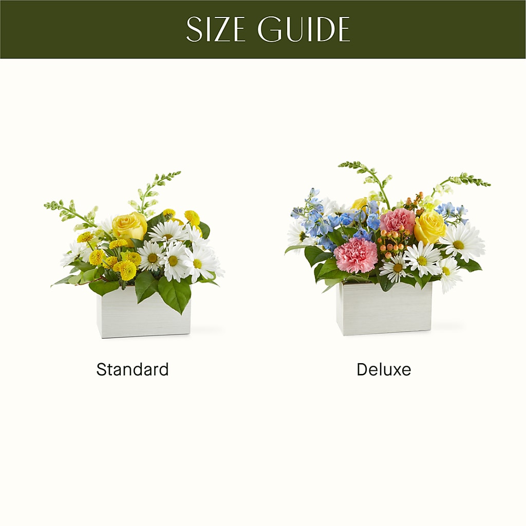 Sun Salutation Box Bouquet – HIRT'S FLOWERS INC, Strongsville OH