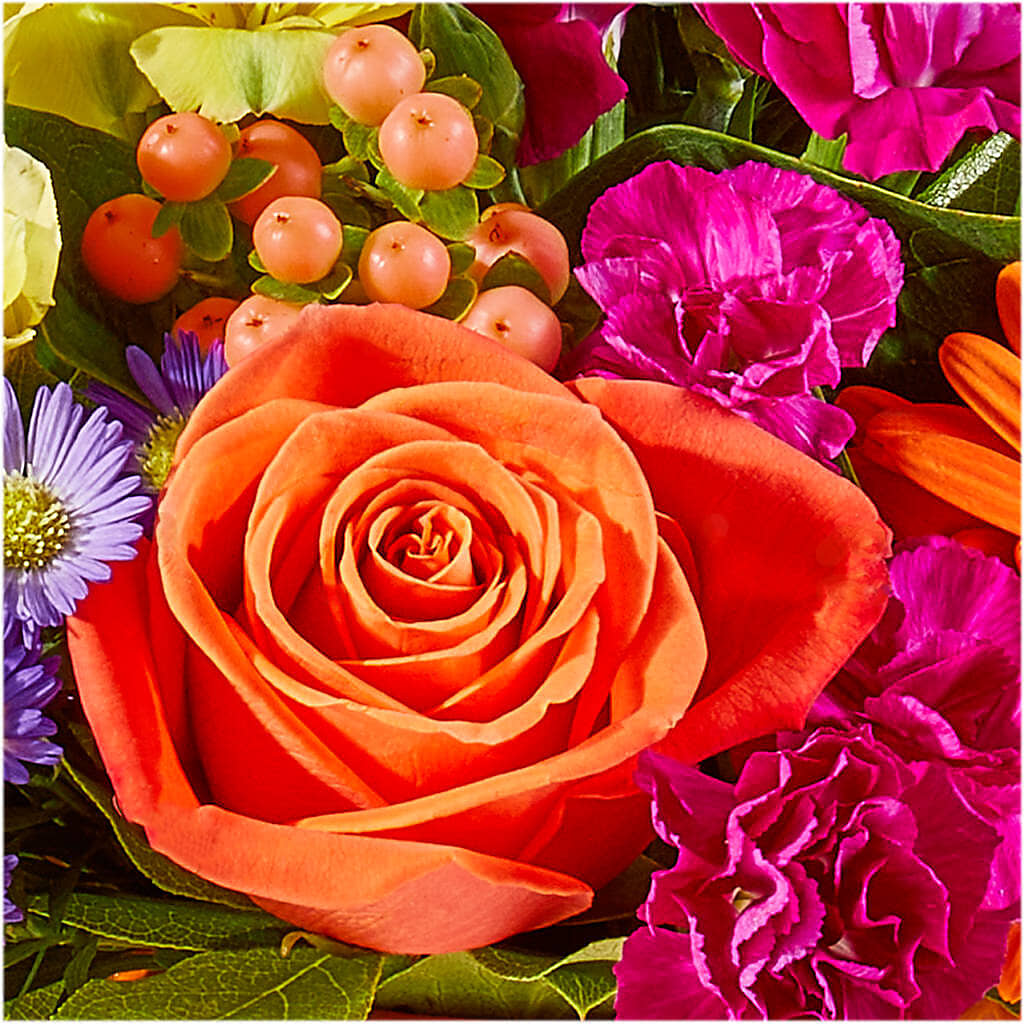 Tricks & Treats Pumpkin – HIRT'S FLOWERS INC, Strongsville OH