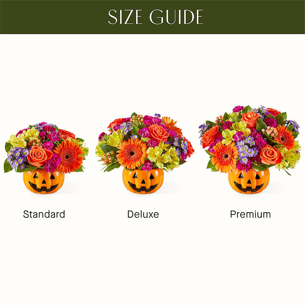 Tricks & Treats Pumpkin – HIRT'S FLOWERS INC, Strongsville OH