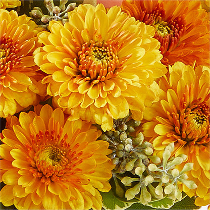 Peachy Pumpkin – HIRT'S FLOWERS INC, Strongsville OH