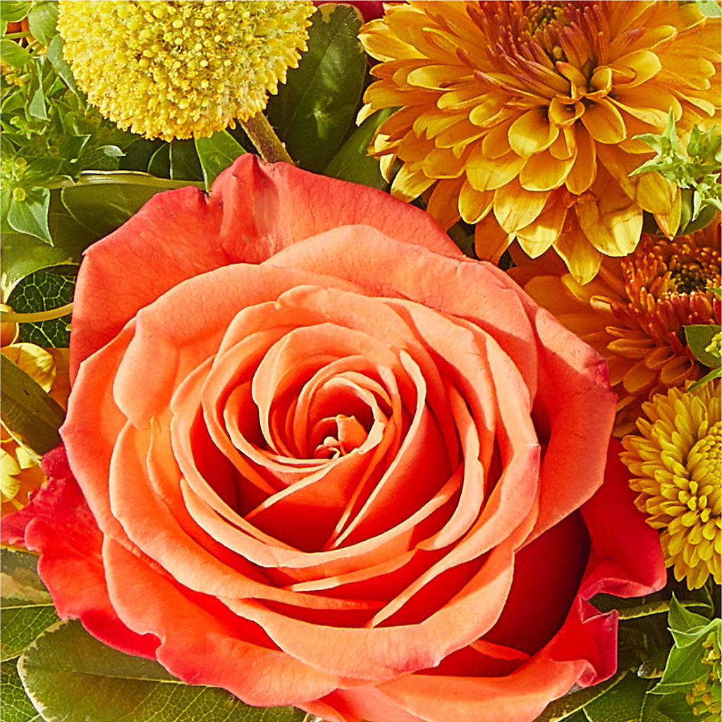 Gourdgeous Pumpkin – HIRT'S FLOWERS INC, Strongsville OH