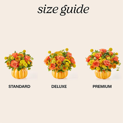 Gourdgeous Pumpkin – HIRT'S FLOWERS INC, Strongsville OH