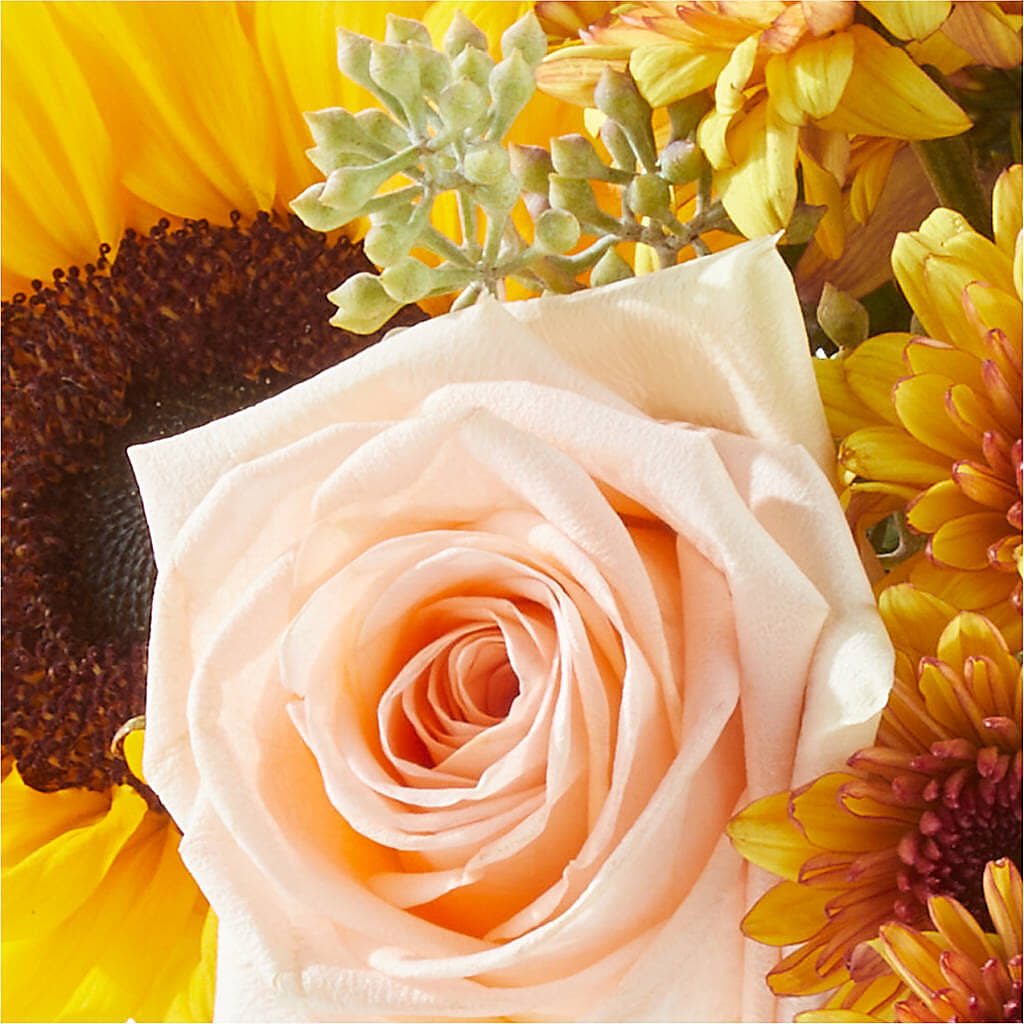 Pumpkin to Talk About Bouquet – HIRT'S FLOWERS INC, Strongsville OH
