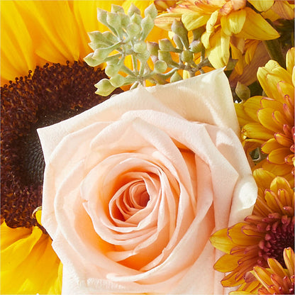 Pumpkin to Talk About Bouquet – HIRT'S FLOWERS INC, Strongsville OH