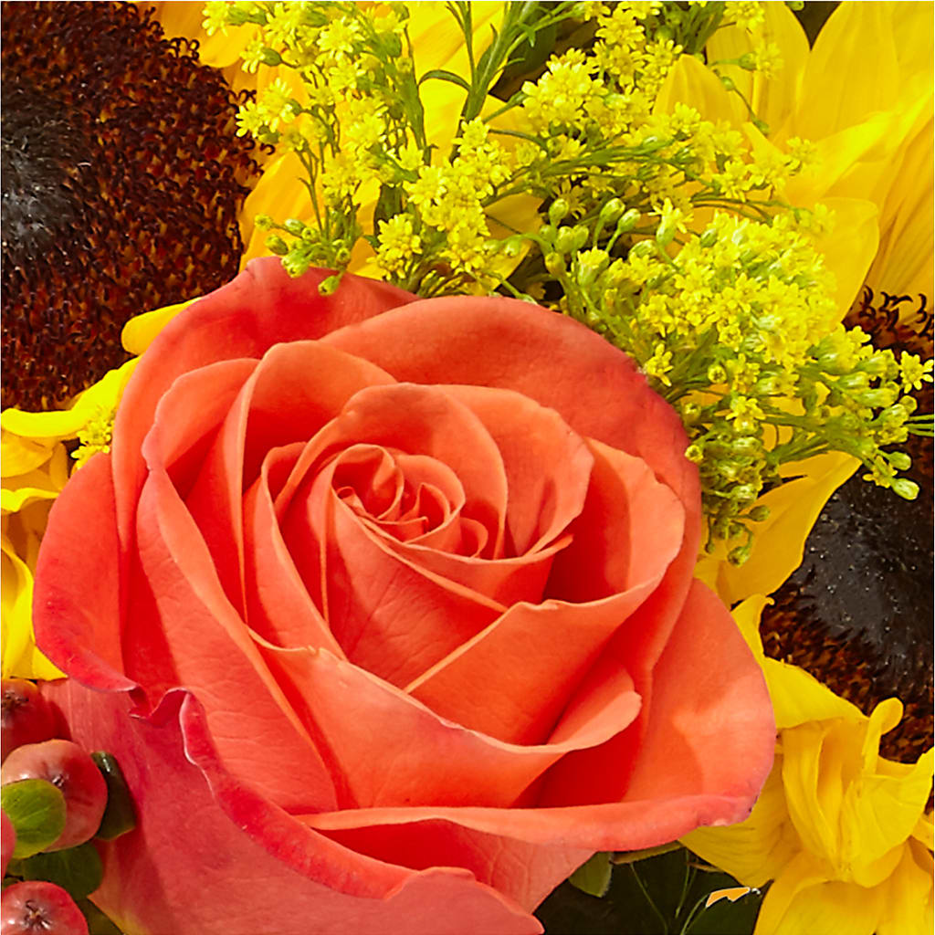 Pick of the Patch Pumpkin Bouquet – HIRT'S FLOWERS INC, Strongsville OH