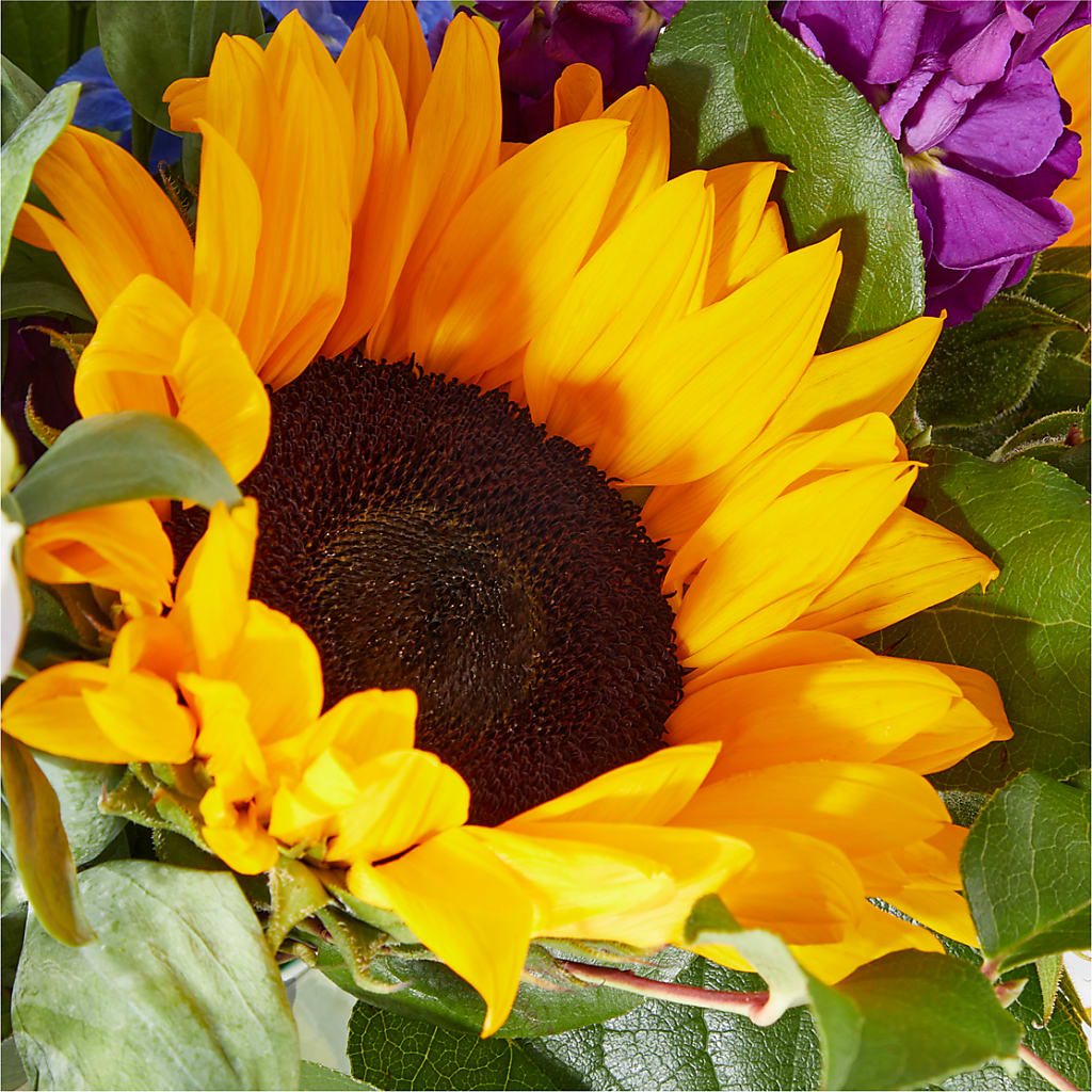 Catching Rays Bouquet – HIRT'S FLOWERS INC, Strongsville OH