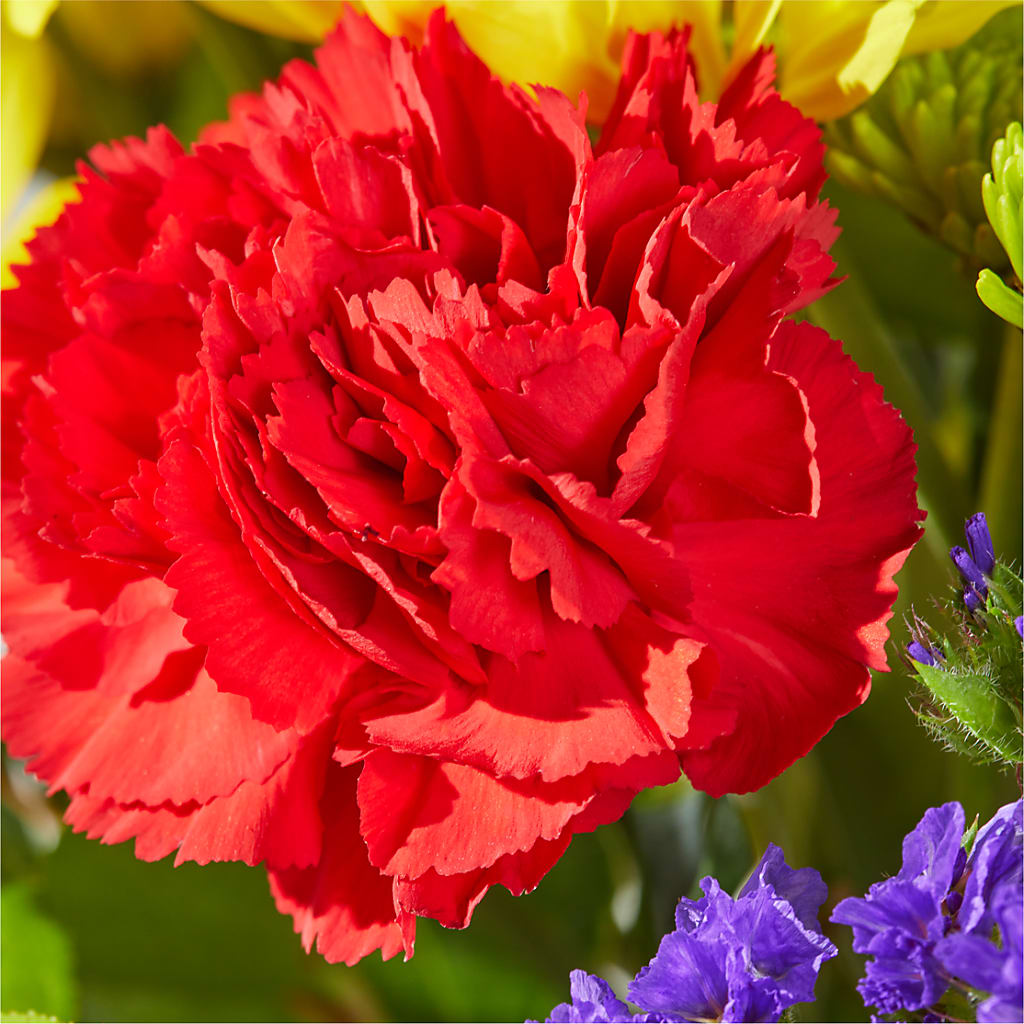 Brighter Days Bouquet – HIRT'S FLOWERS INC, Strongsville OH