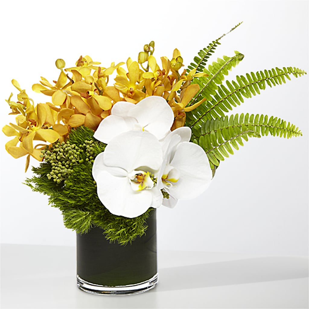 The Tropics – HIRT'S FLOWERS INC, Strongsville OH