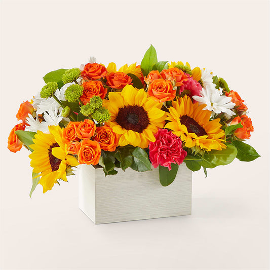 Sun-drenched Blooms Box Bouquet – HIRT'S FLOWERS INC, Strongsville OH