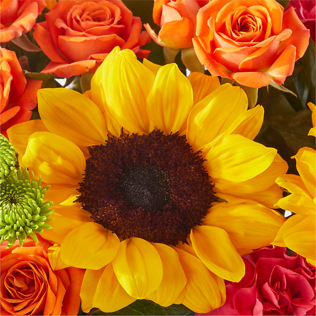 Sun-drenched Blooms Box Bouquet – HIRT'S FLOWERS INC, Strongsville OH