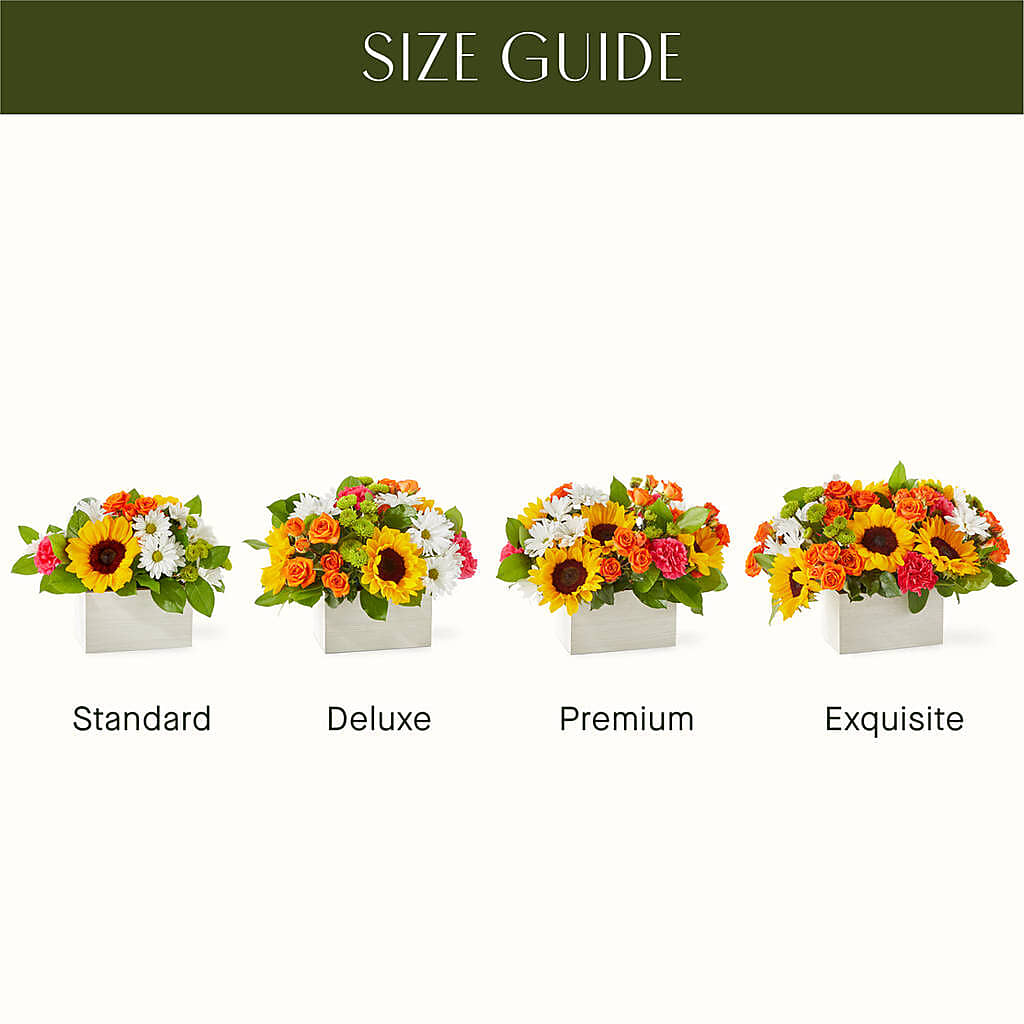 Sun-drenched Blooms Box Bouquet – HIRT'S FLOWERS INC, Strongsville OH