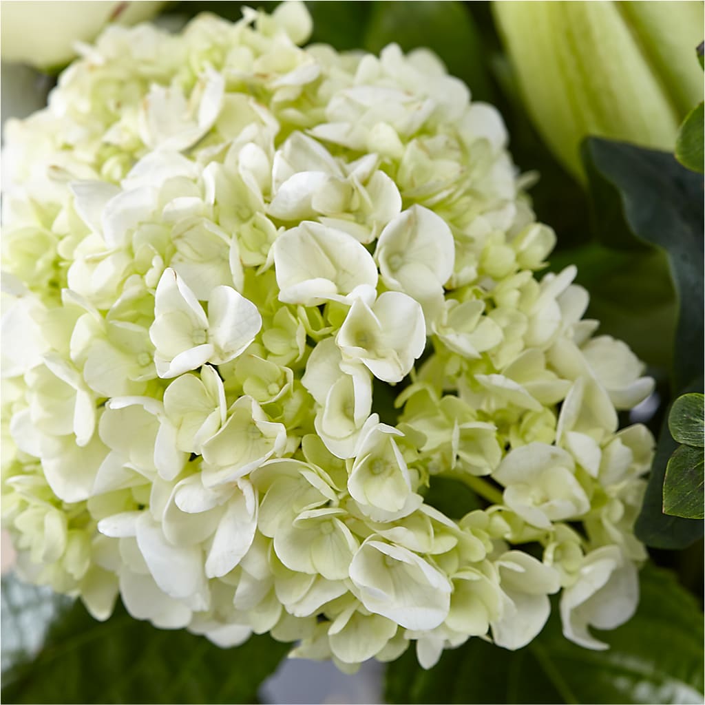 Classic Ivory – A Florist Original – HIRT'S FLOWERS INC, Strongsville OH