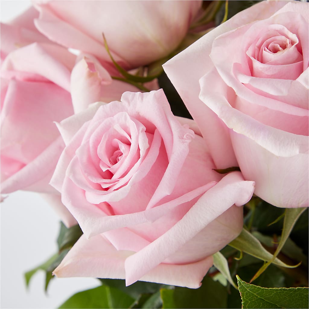 Picture Perfect Pink Rose Bouquet – HIRT'S FLOWERS INC, Strongsville OH