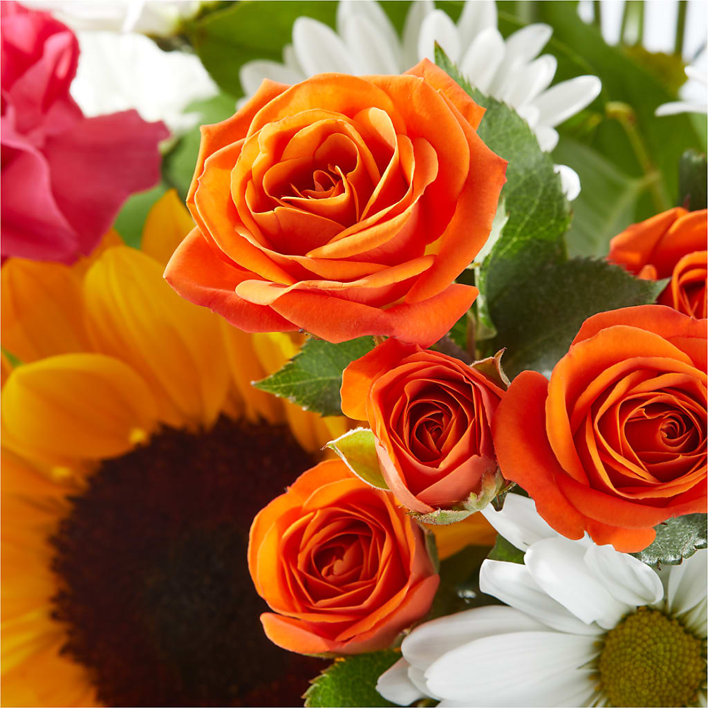 Sun-drenched Blooms Bouquet – HIRT'S FLOWERS INC, Strongsville OH