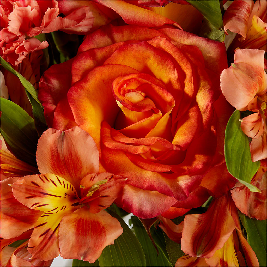 Apricot Glow Bouquet – HIRT'S FLOWERS INC, Strongsville OH