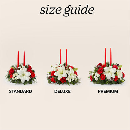 Seasonal Festivities Centerpiece – HIRT'S FLOWERS INC, Strongsville OH