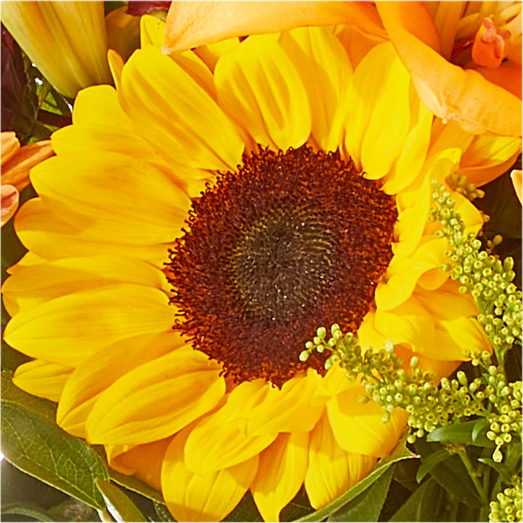 Seasons Change Bouquet – HIRT'S FLOWERS INC, Strongsville OH