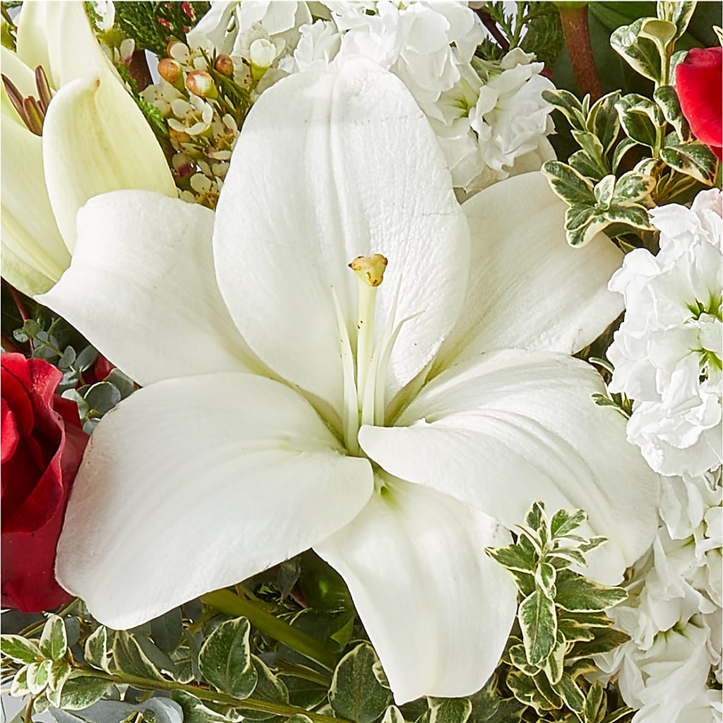 Twinkle Lights Bouquet – HIRT'S FLOWERS INC, Strongsville OH