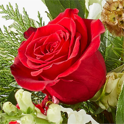 Deck the Halls Bouquet – HIRT'S FLOWERS INC, Strongsville OH