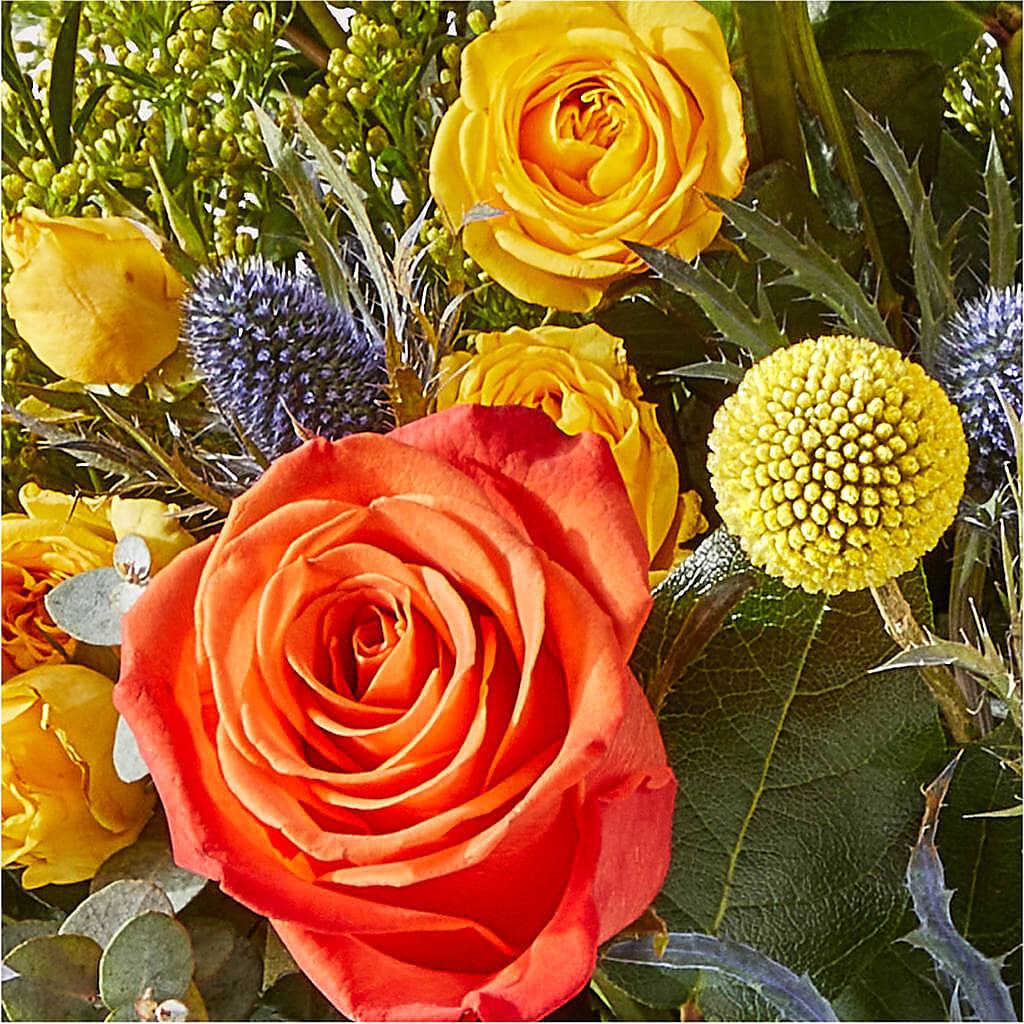 Disco Bouquet – HIRT'S FLOWERS INC, Strongsville OH