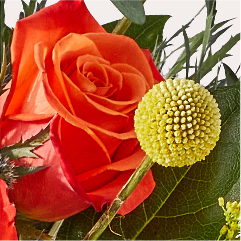 Disco Bouquet – HIRT'S FLOWERS INC, Strongsville OH