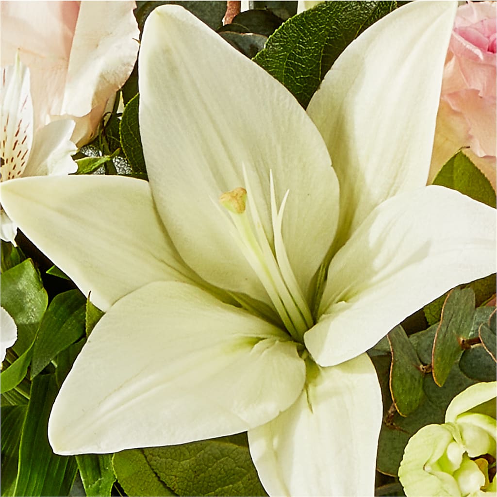 Ballet Slippers Bouquet – HIRT'S FLOWERS INC, Strongsville OH