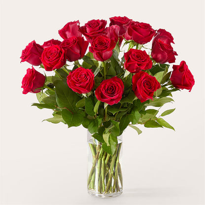The One Red Rose Bouquet – HIRT'S FLOWERS INC, Strongsville OH